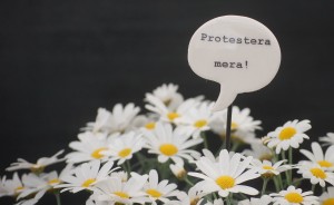 protesteramera2margeuriter-